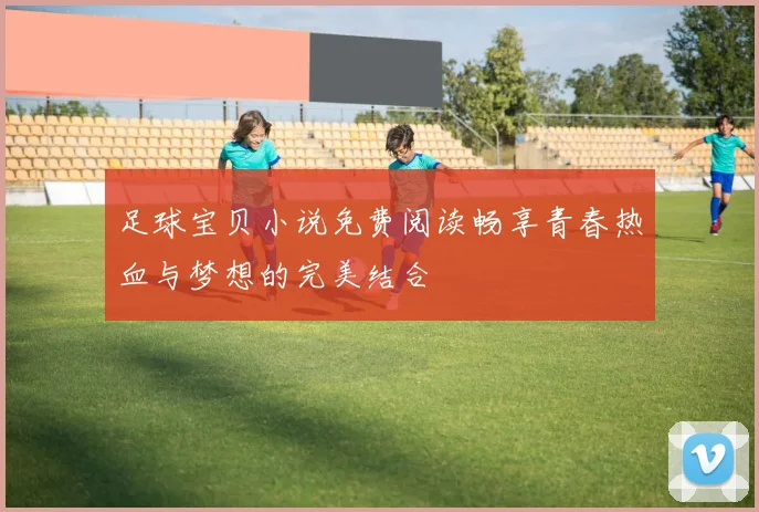 足球宝贝小说免费阅读畅享青春热血与梦想的完美结合