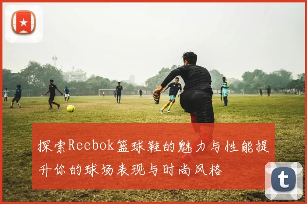 探索Reebok篮球鞋的魅力与性能提升你的球场表现与时尚风格